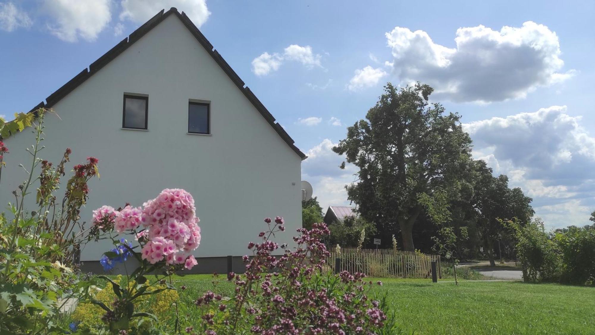Storchennest - Ferienwohnung Am Storchenradweg Ketzur Exterior photo